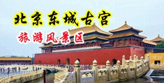 女生和男生操逼的网站中国北京-东城古宫旅游风景区